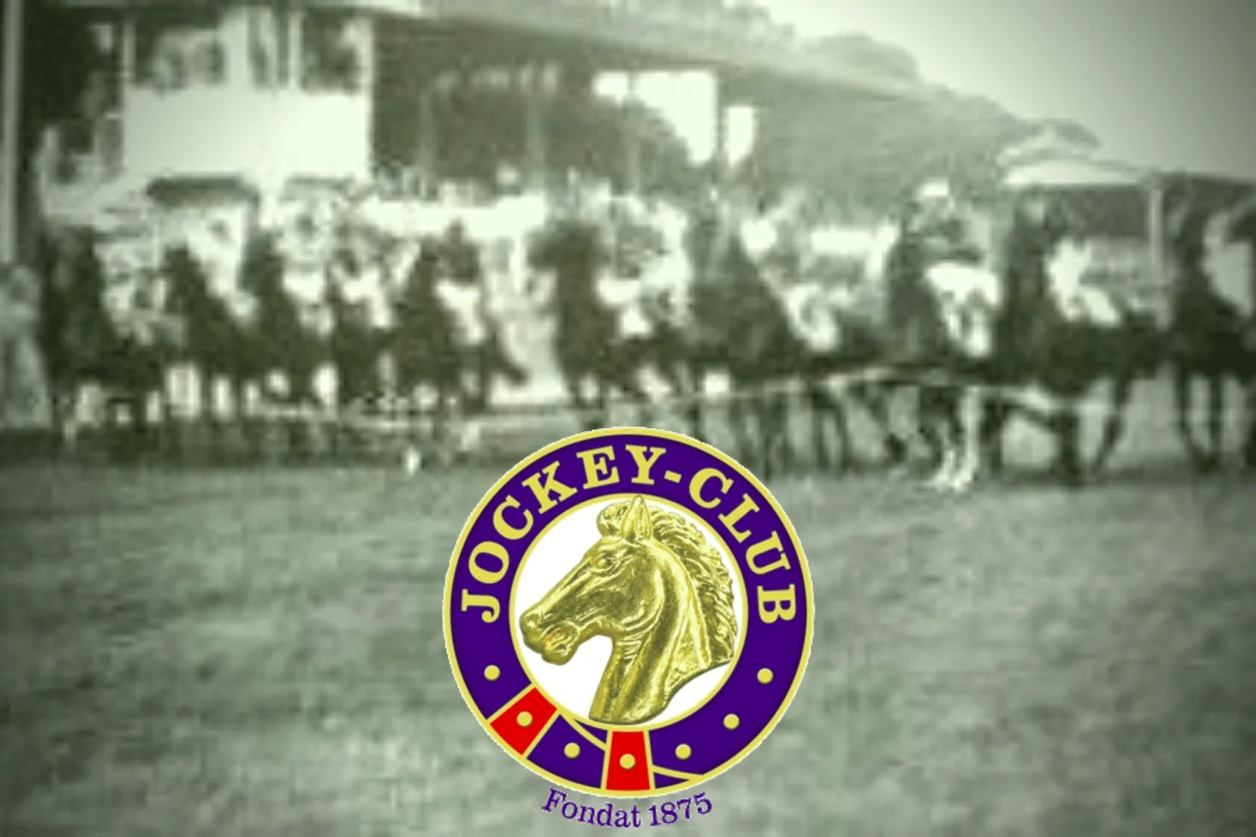 Coperta Jockey Club