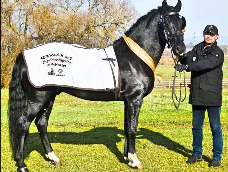 Neapolitano - Roland Varga