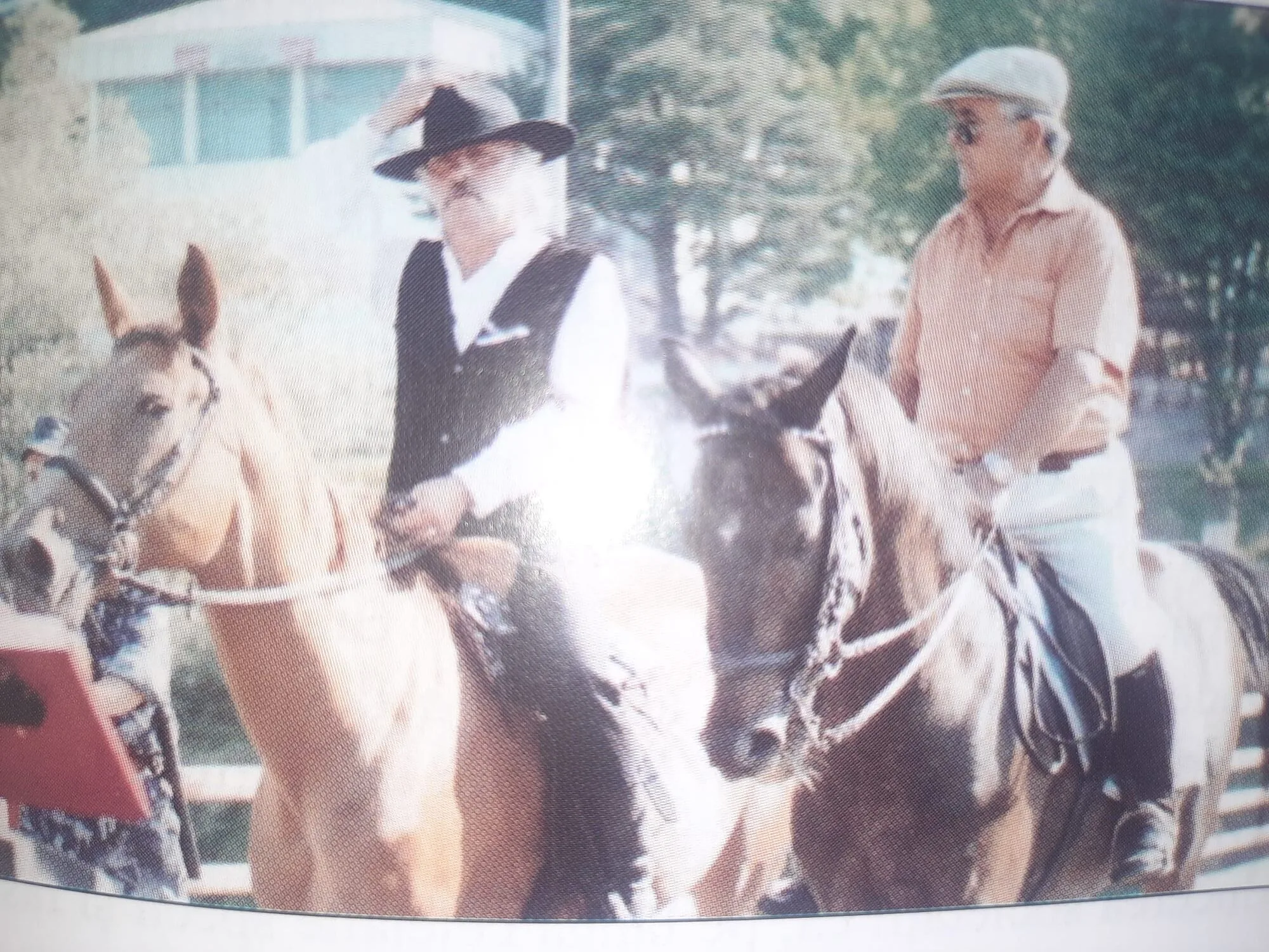 Virgil Barbuceanu și Costache Lupu 