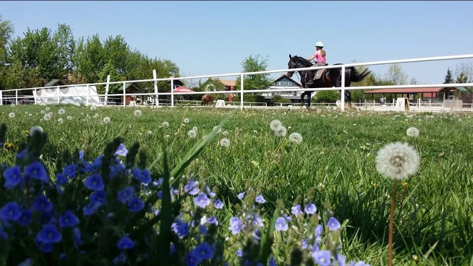 Arkadia Horse Club