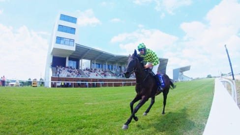 Cal și jocheu de la Herghelia Cislău pe pista Hipodromului Ploiești