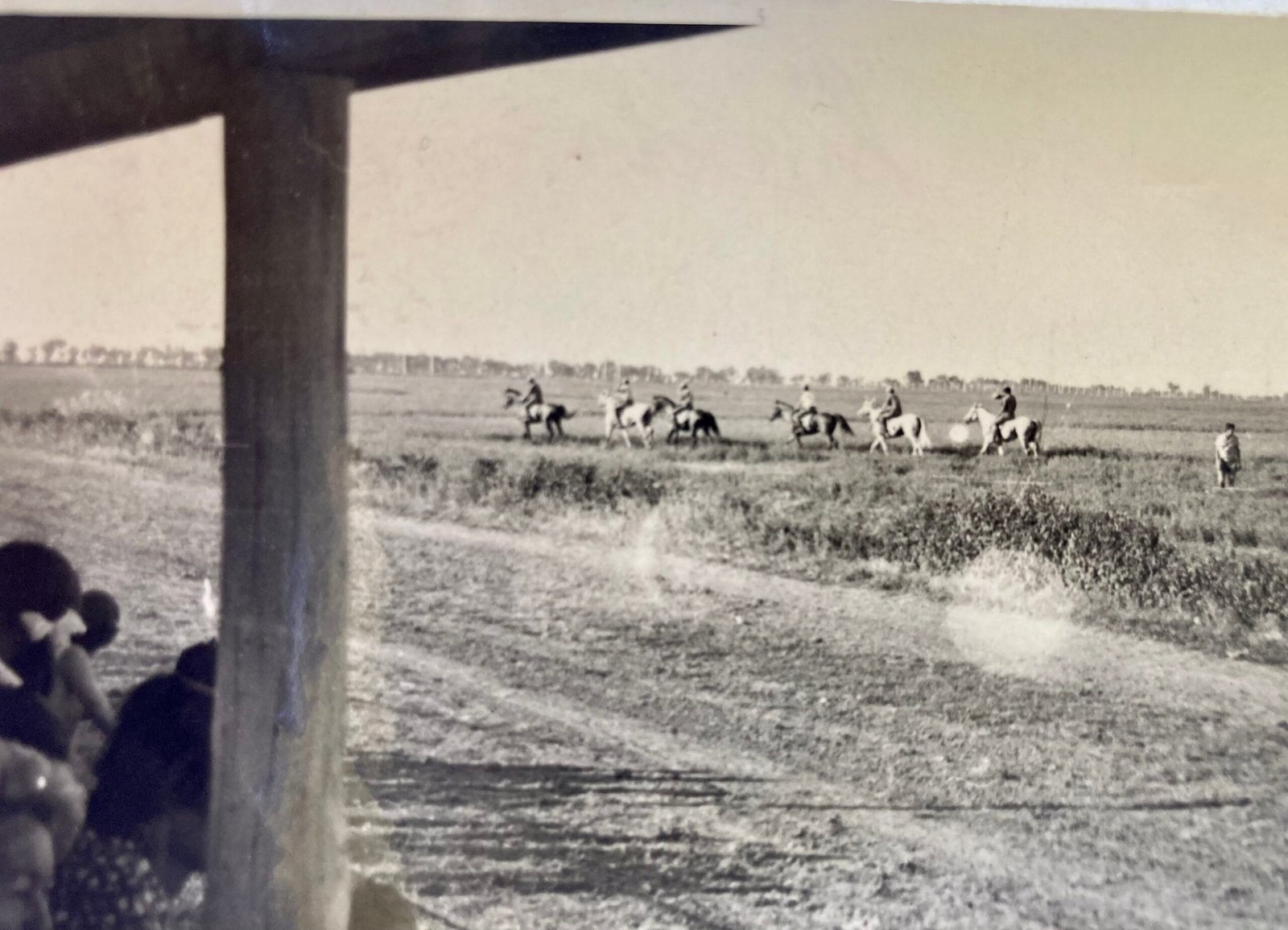 Fotografie făcută din tribuna hipodromului din cadrul Hergheliei Cislău (1969)