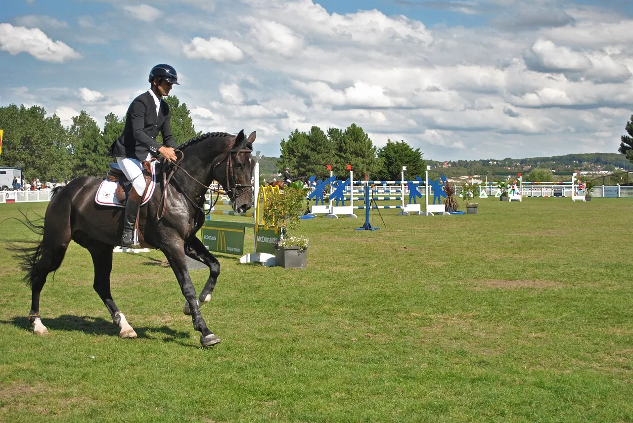 Club sportiv hipic Equitim Craiova