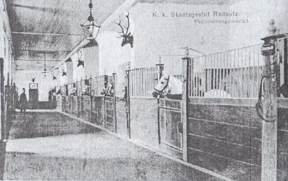 Vedere istorica cu grajdul de pepinieri de la Herghelia Radauti