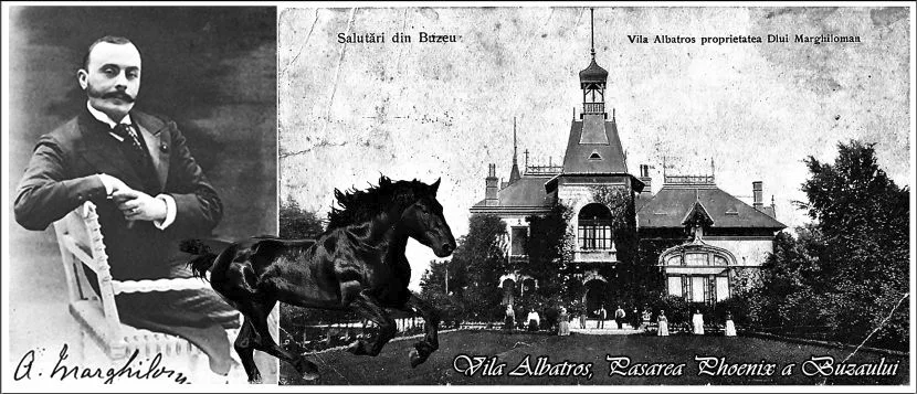 Marghiloman si vila Albastros