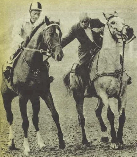 Secretariat