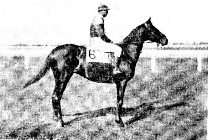 Zori de Zi