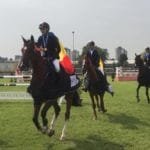 Federatia Ecvestra Romana