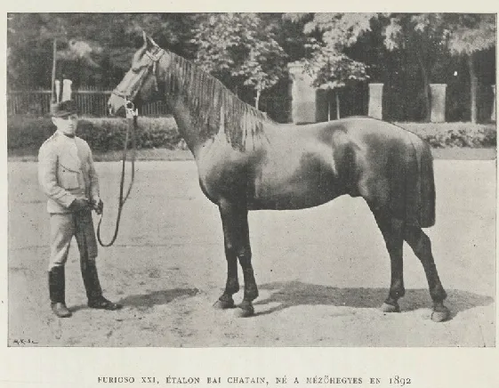 Furioso