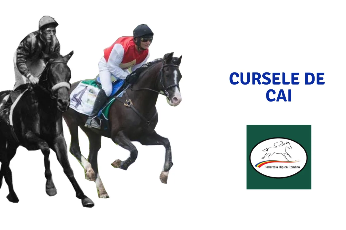 cursele de cai
