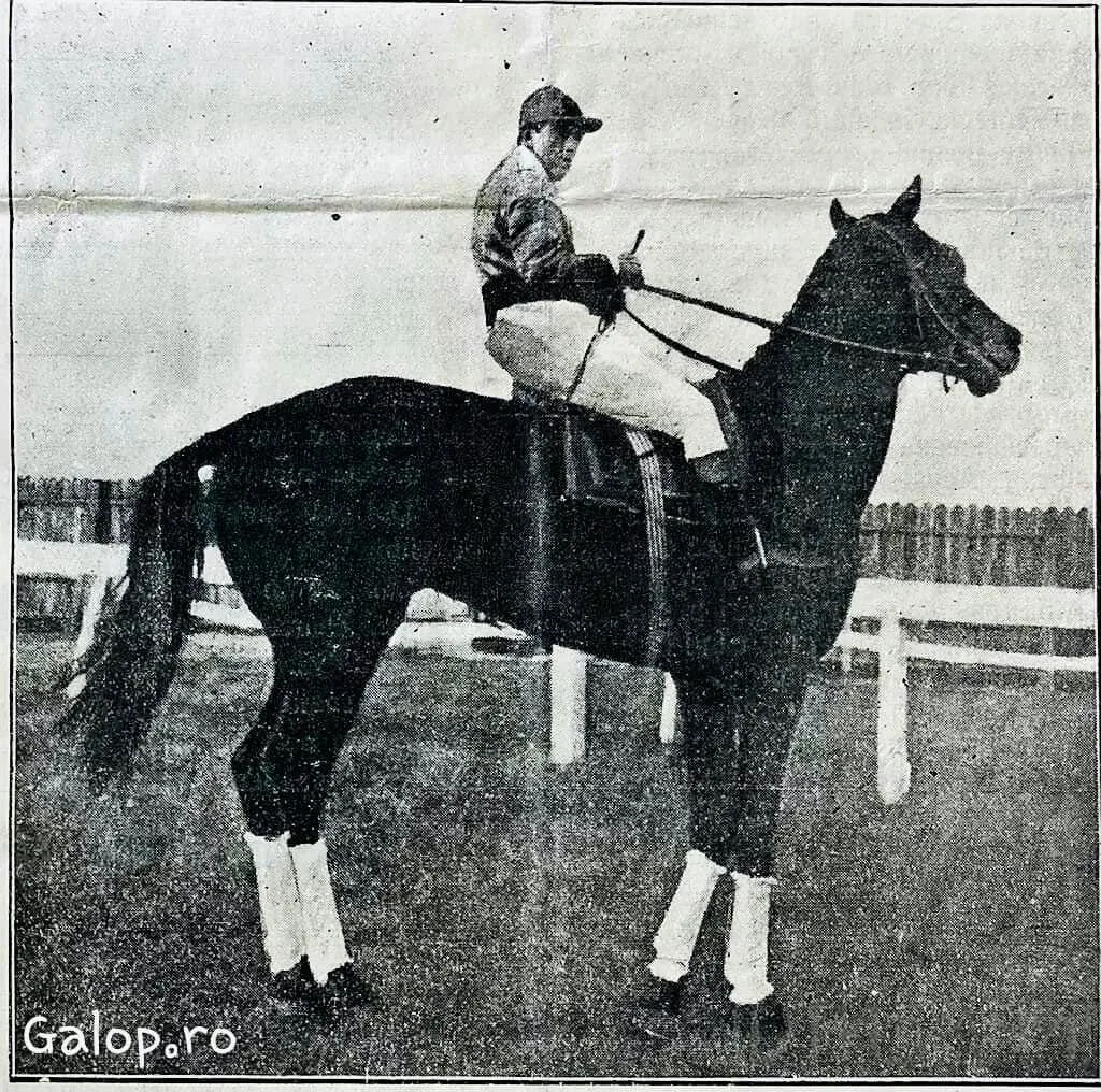 Celebrul Albatros - sursa www.galop.ro