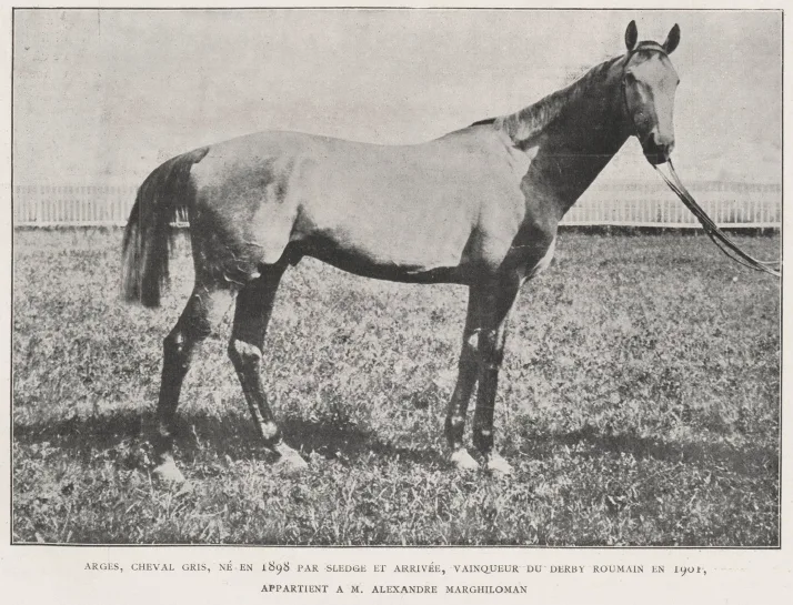 Arges 1901