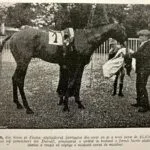 Frasin - 1915