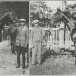 Ghiaur - 1928