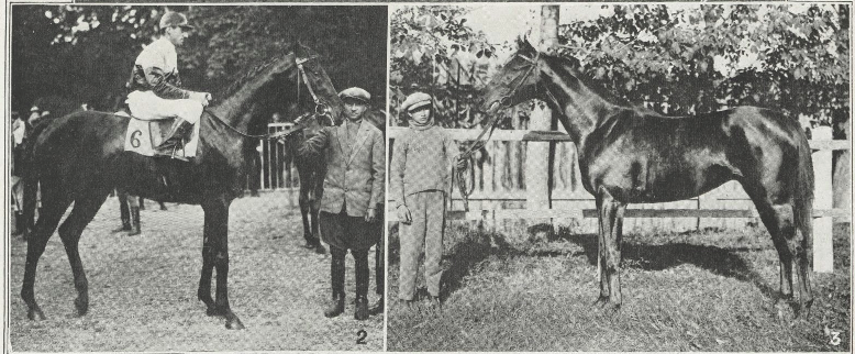 Ghiaur - 1928