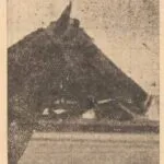 MOSQUITO - 1946