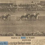 Scarba Mica 1933