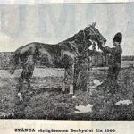 Stânca - 1905
