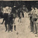 Taifun - 1923