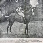 Tina - 1906