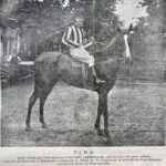 Tina - 1906