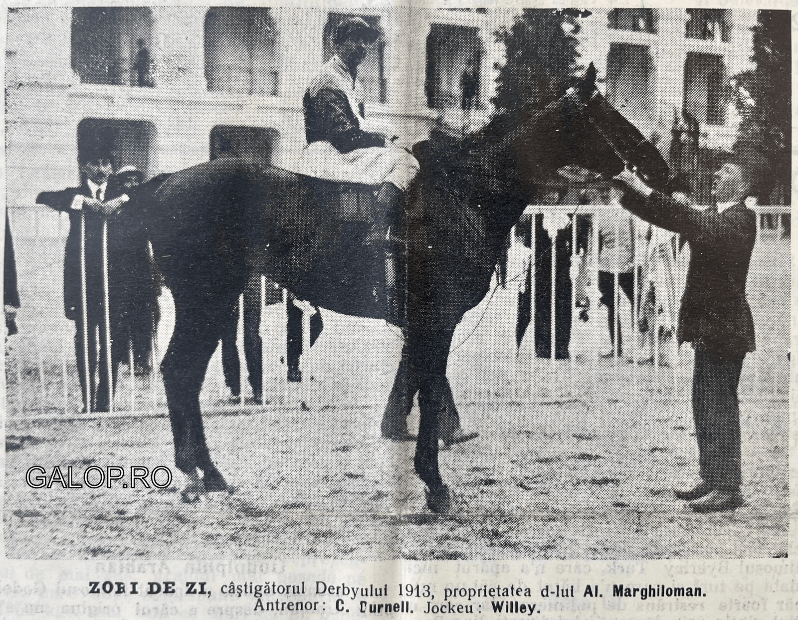 ZORI DE ZI - sursa foto galop.ro