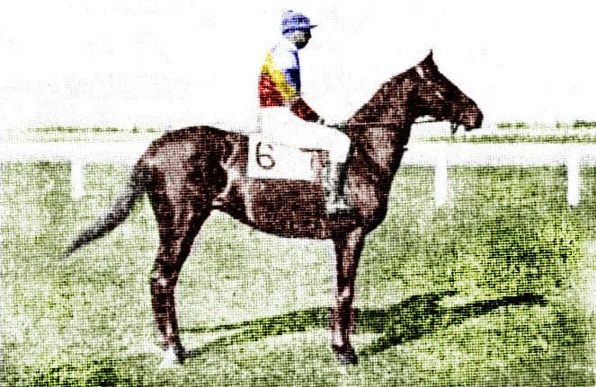 Zori de zi colorat
