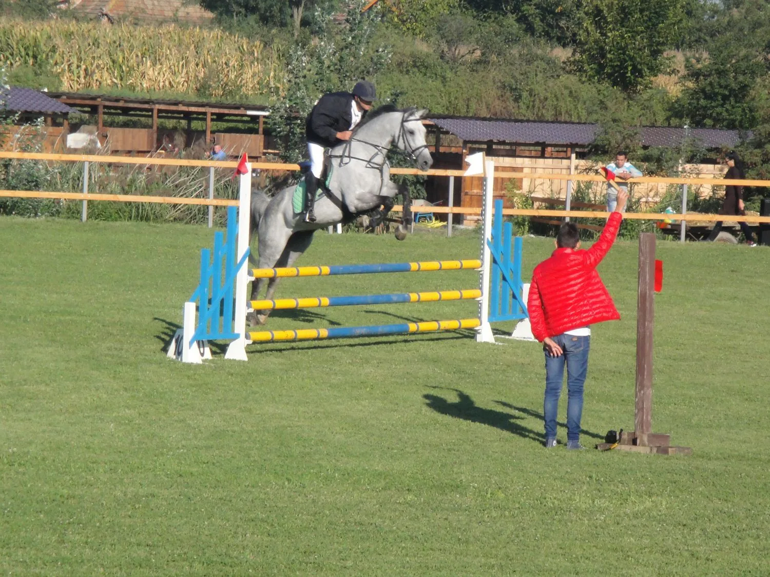 MD Horses Arad
