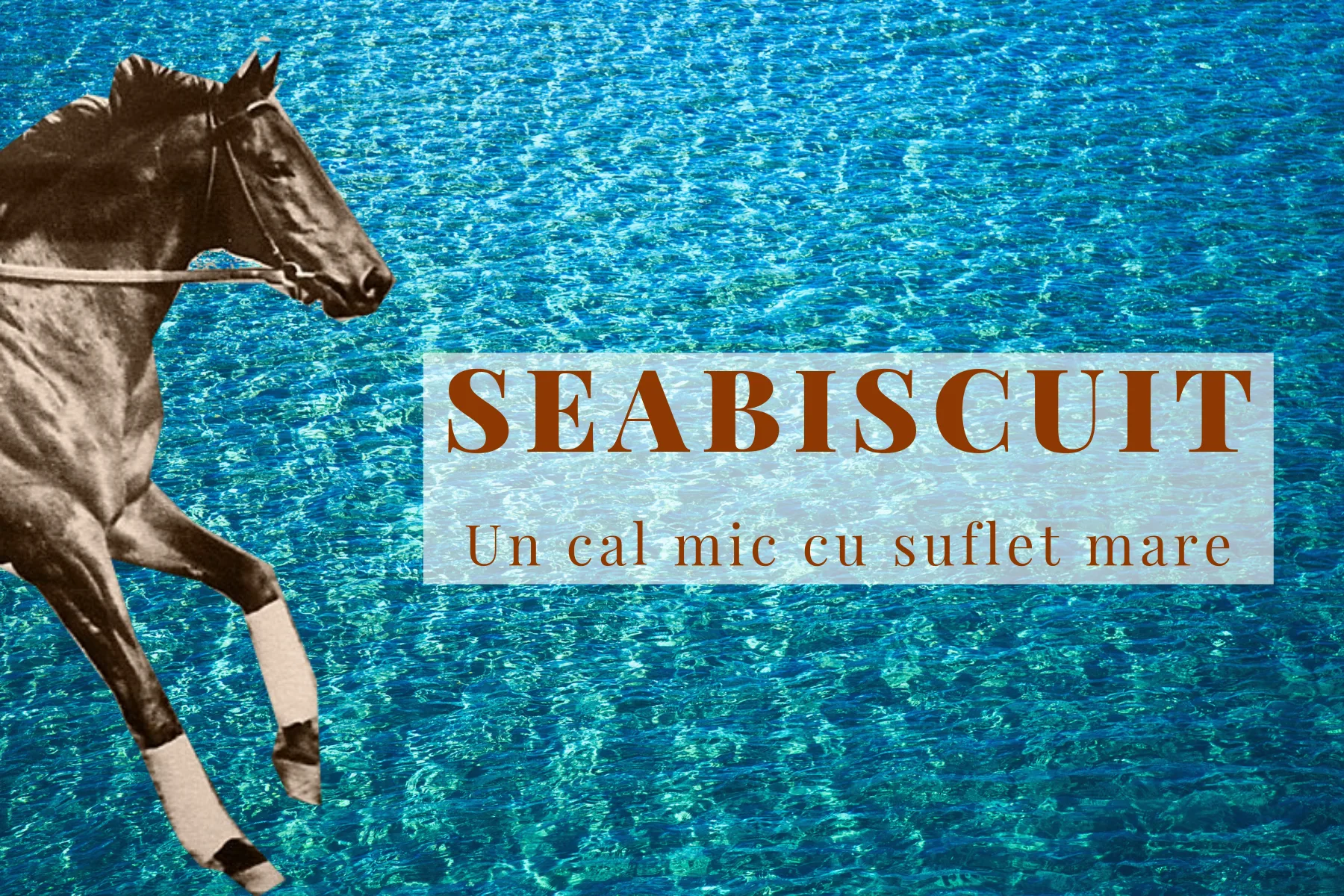 Seabiscuit, un cal cu inima mare