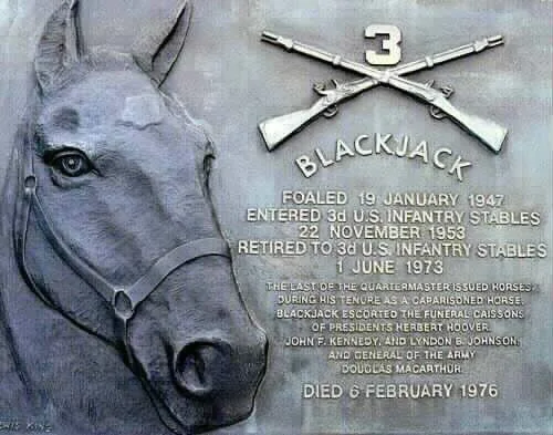 Black Jack