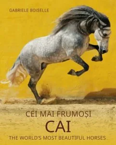 Cei mai frumoși cai