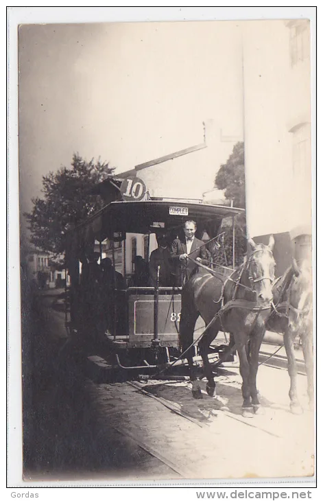 Tramvaiul tras de cai