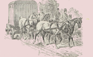 Transportul cailor
