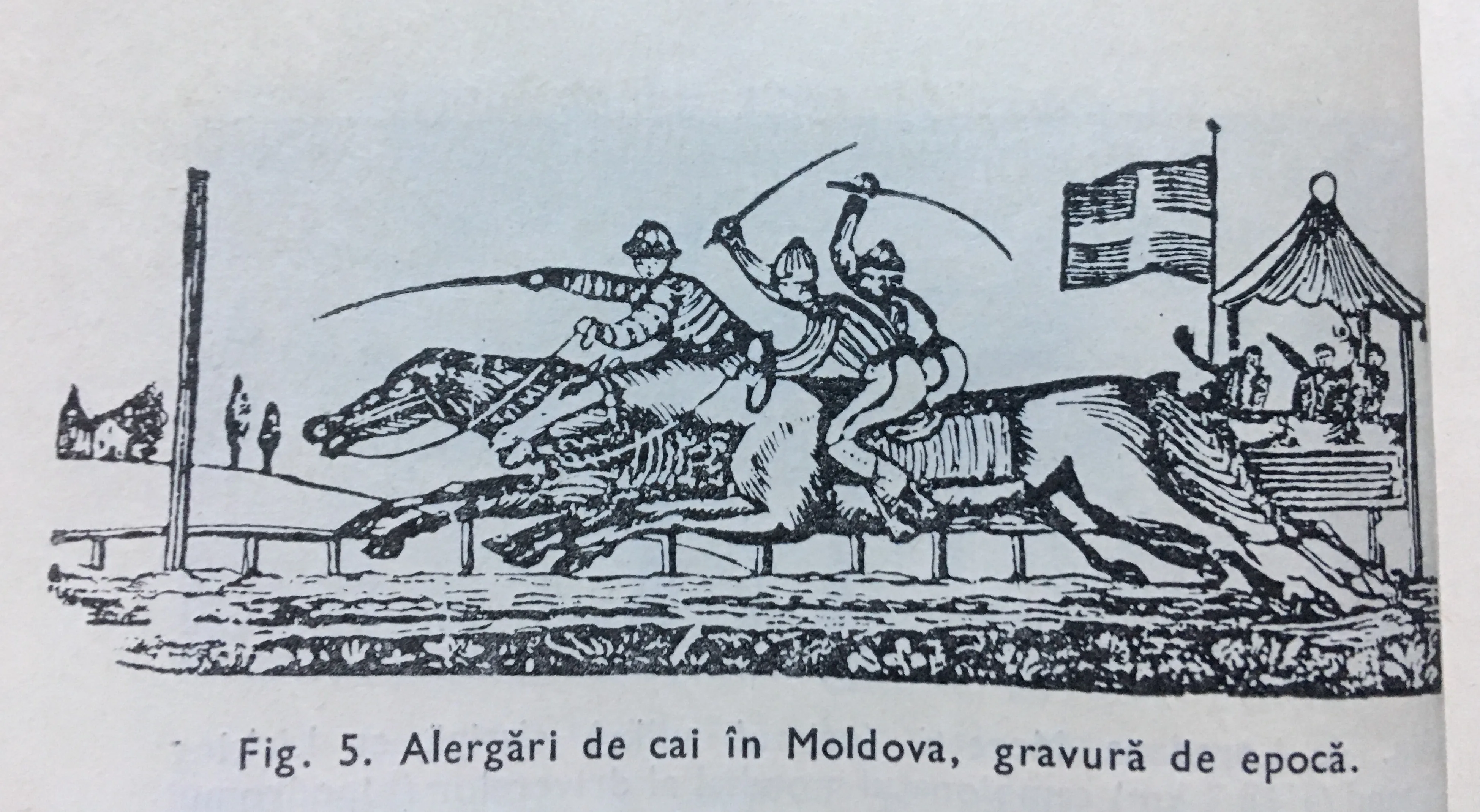 Alergari cai Moldova - 19