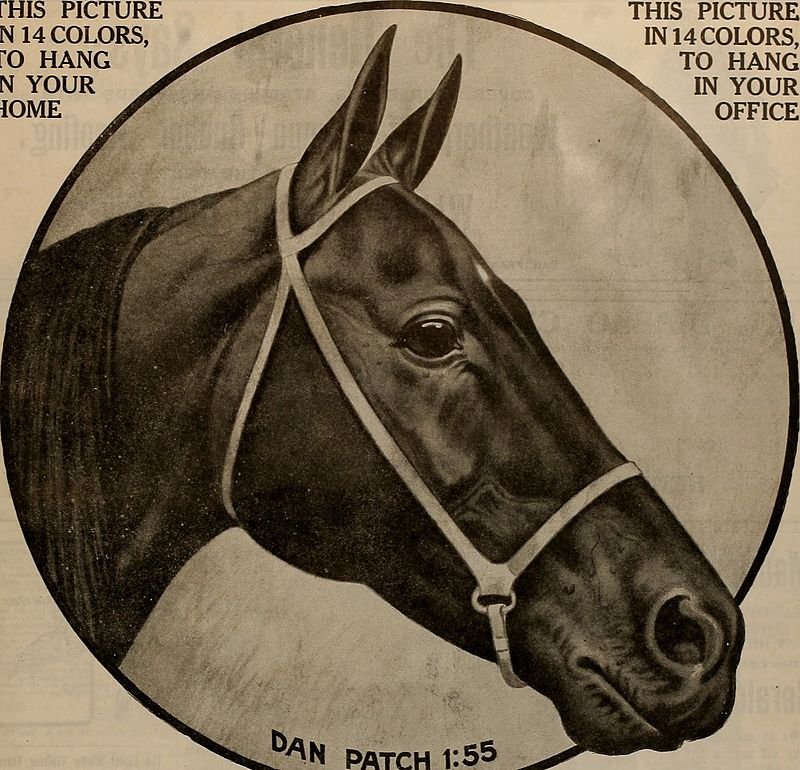 Dan Patch campion