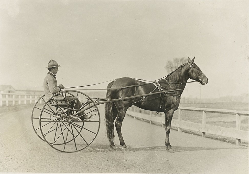 Dan-Patch-in-a-racing-harness-Photo-courtesy-Minnesota-Historical-Society