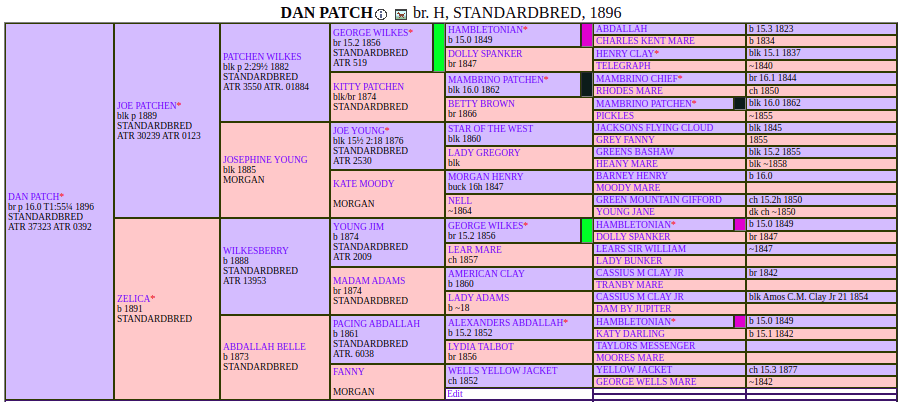 Dan Patch pedigree