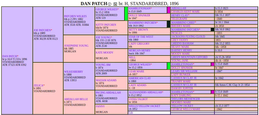 Dan Patch pedigree