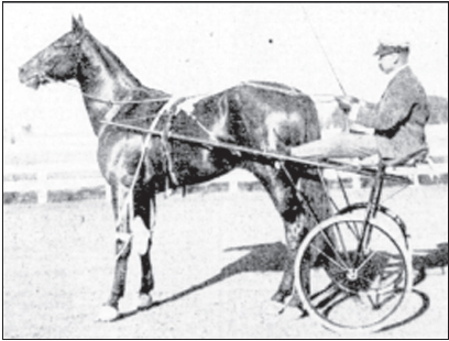 Dan Patch in anul 1901