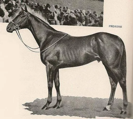 Firdaussi - un cal de legenda