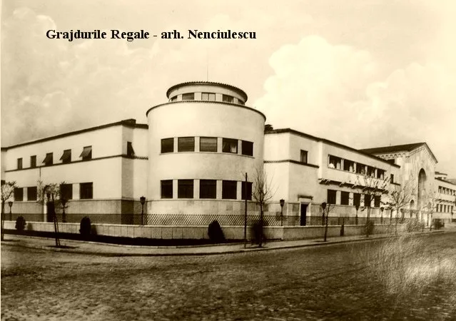 Grajdurile regale - 21