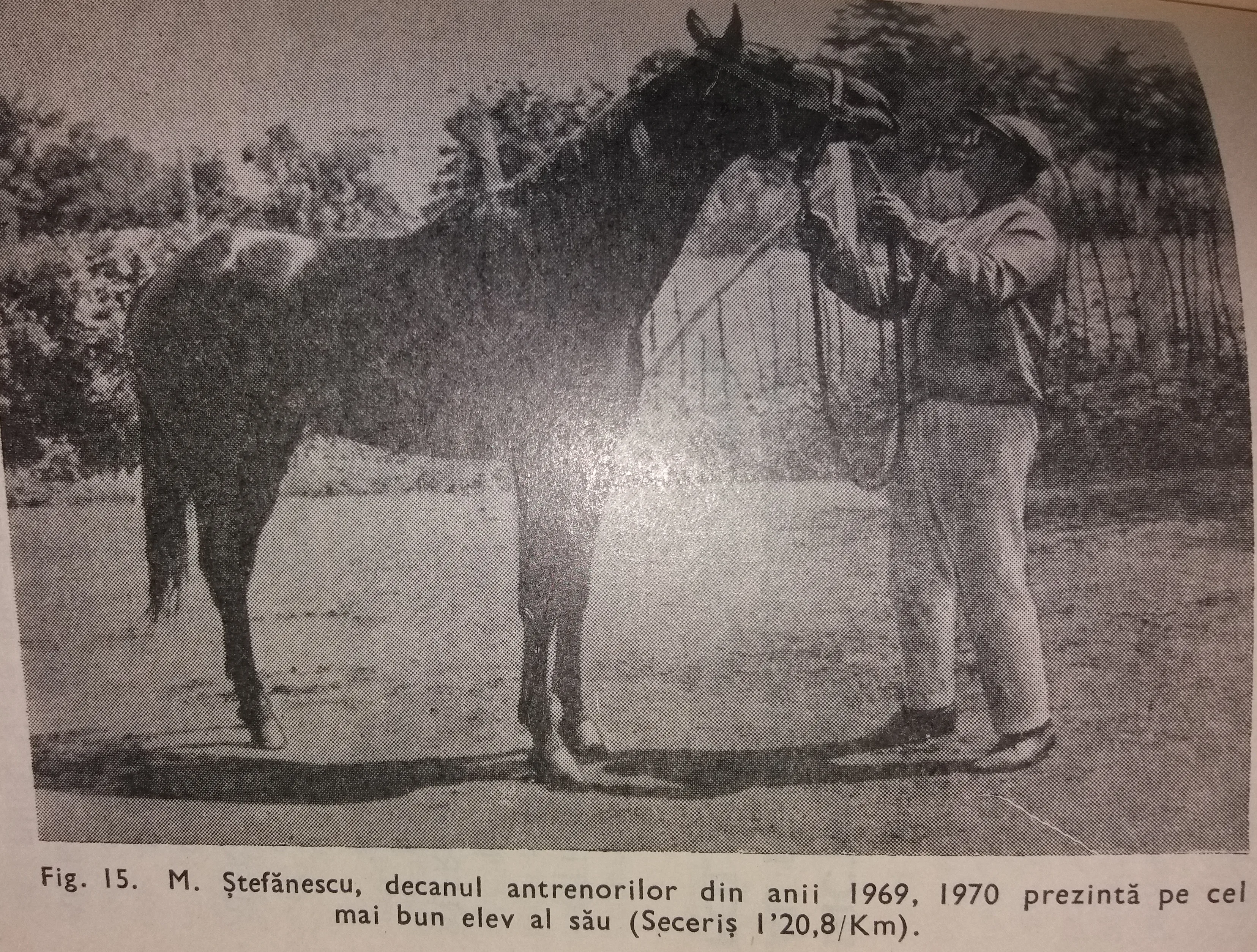 Stefanescu - Seceris