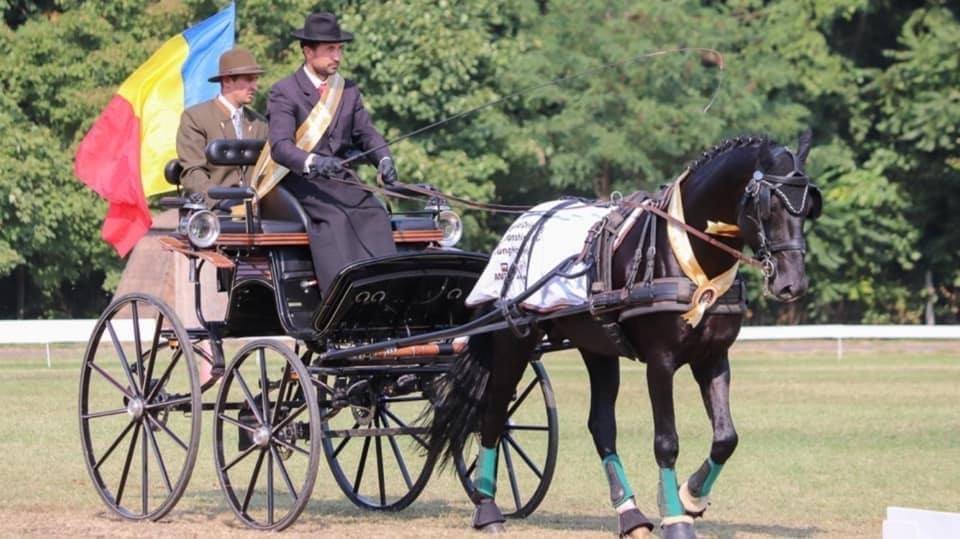 Neapolitano xxxi-42 campion