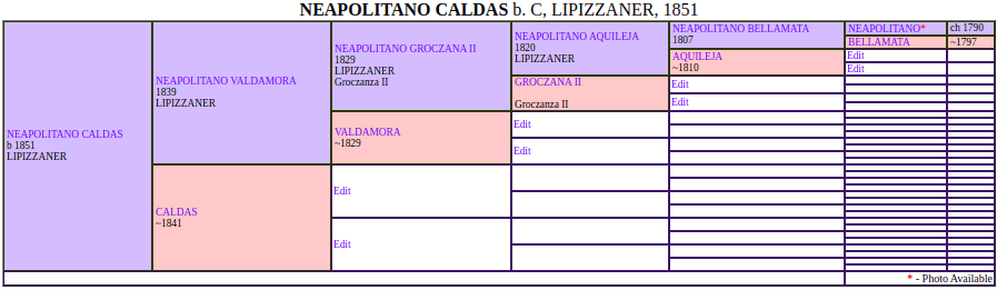 neapolitano pedigree