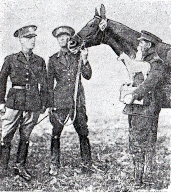 Henri Rang premii