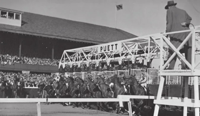 Electric Starting Gate