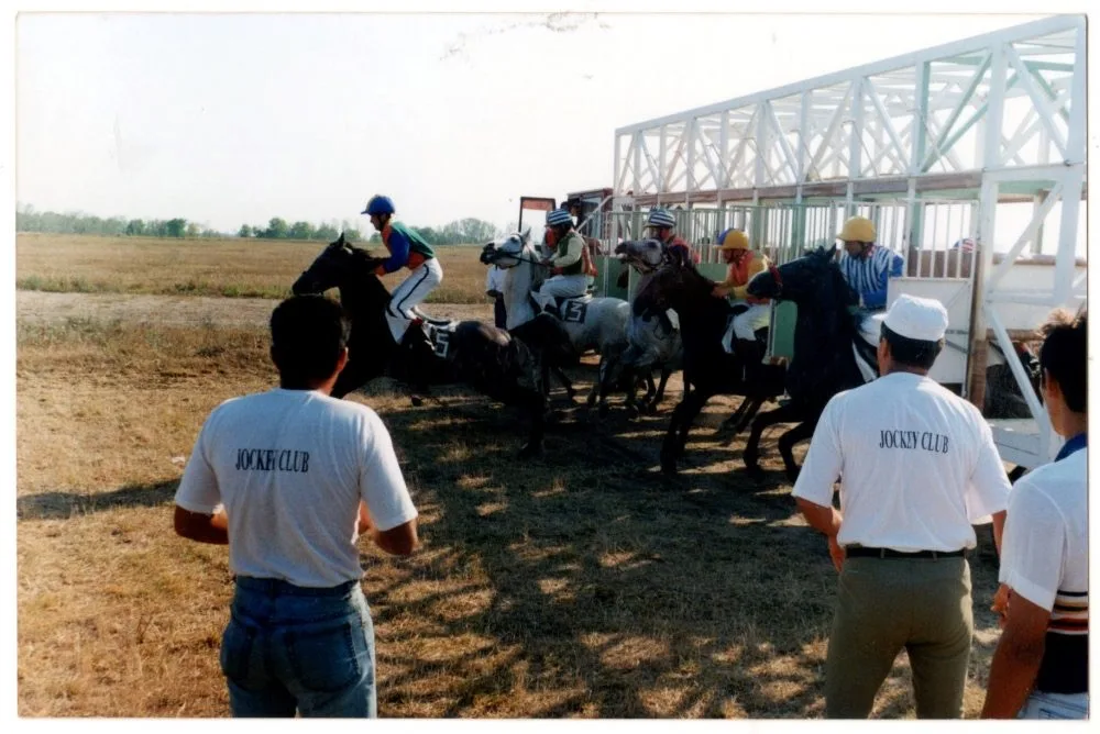 starting gate Hipodrom Mangalia
