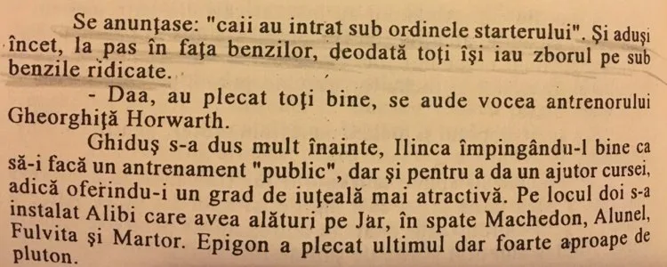 Odinioara la Baneasa