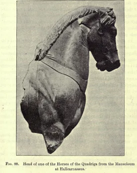 caii macedoneni
