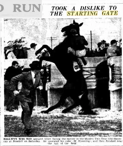Gate dislike 1946